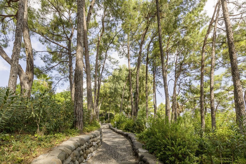 Labranda Mares Marmaris - 16