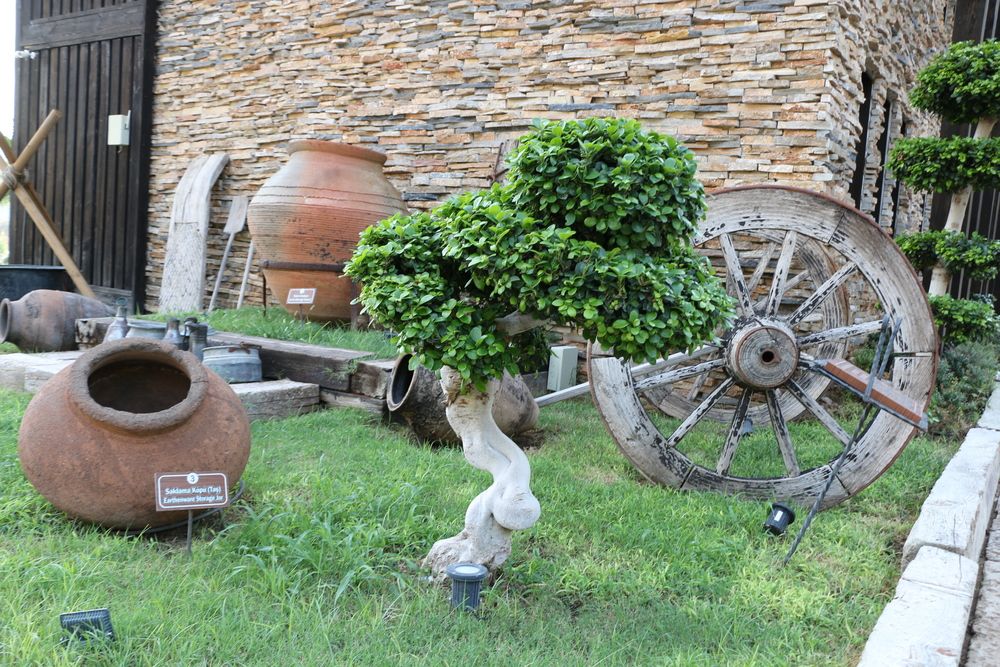 Manaspark Deluxe Hotel (ex. Manaspark Oludeniz) - 7