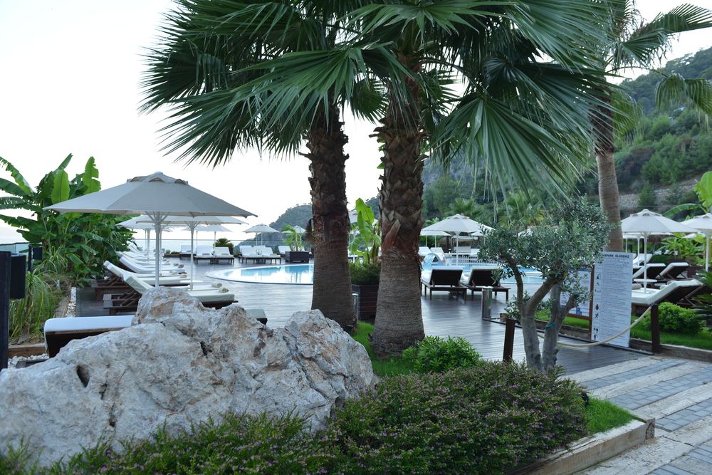 Картинка отеля - 8