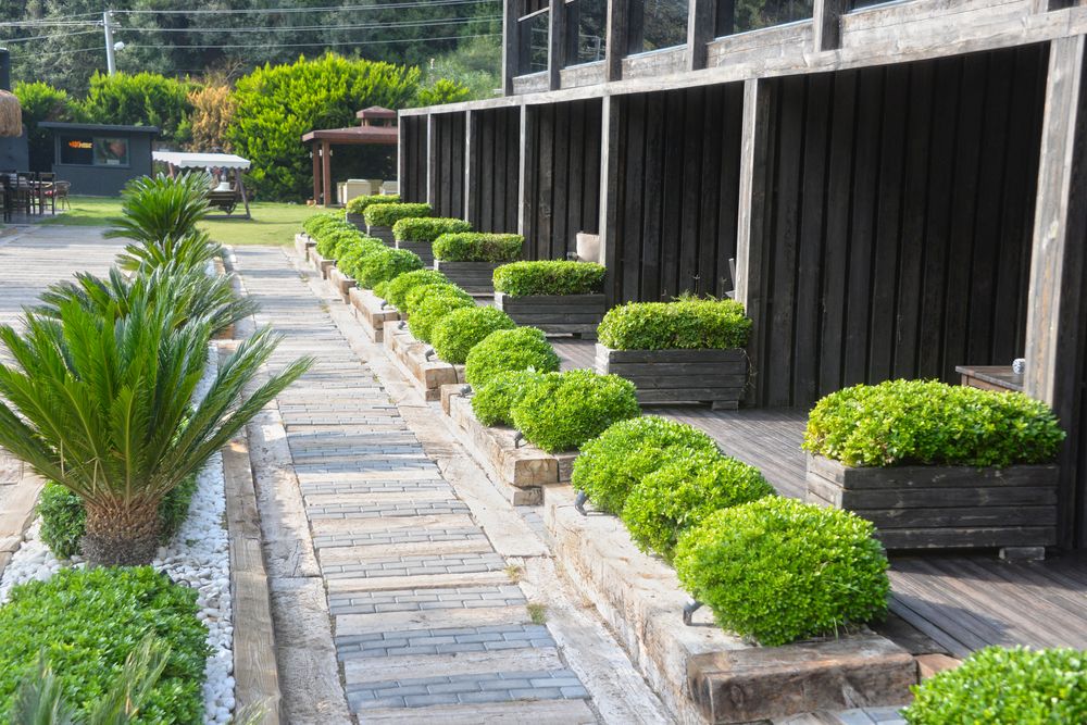 Картинка отеля - 2