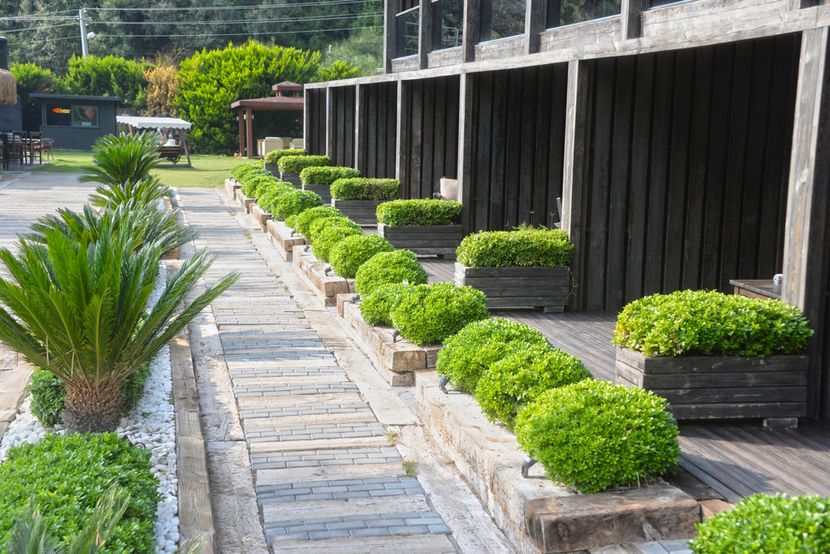 Manaspark Deluxe Hotel (ex. Manaspark Oludeniz) - 2