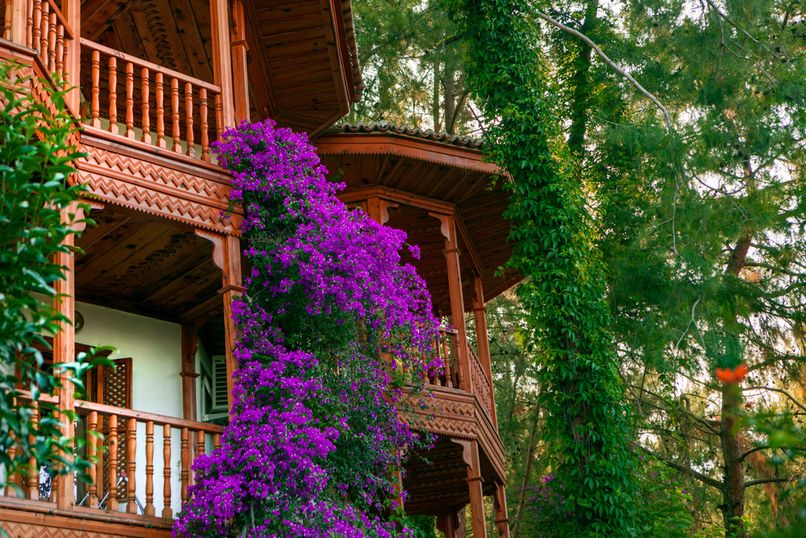 Club Hotel Letoonia - 3