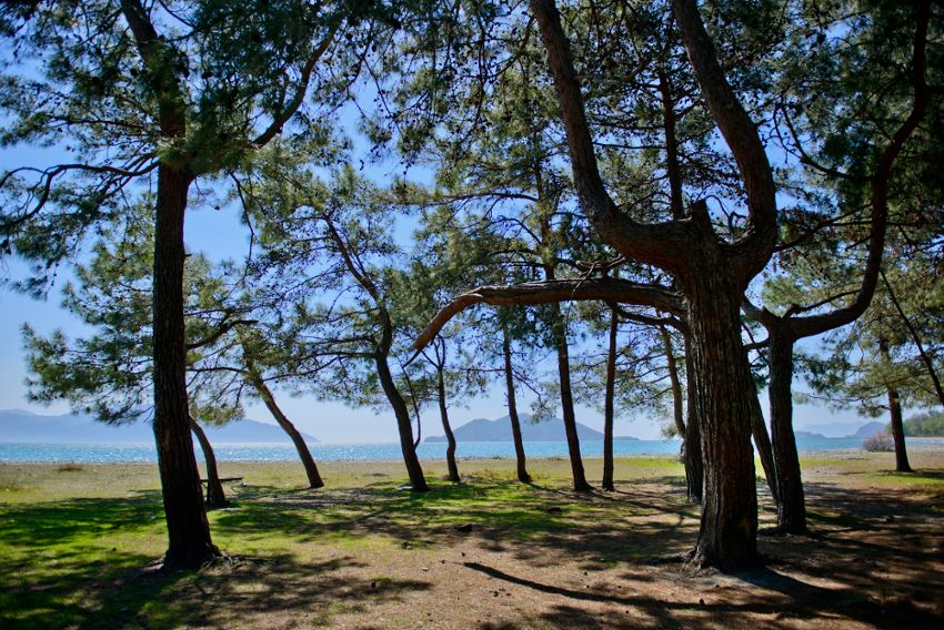 Akra Fethiye Tui Blue Sensatori (ex. Tui Blue Sensatori Barut Fethiye) - 10
