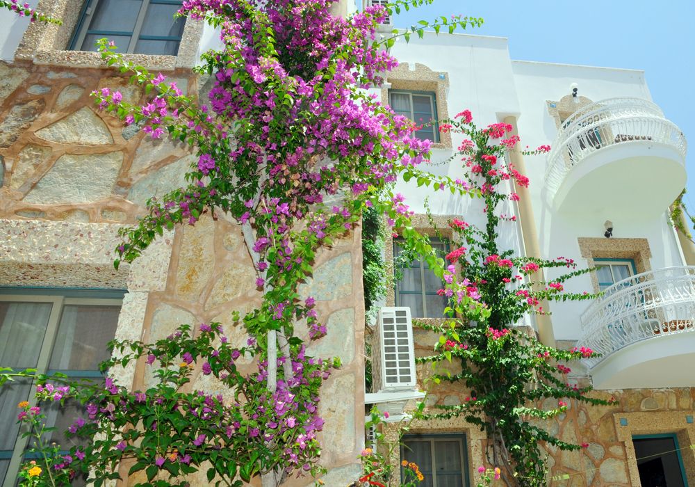 Siesta Beach Apart - 2