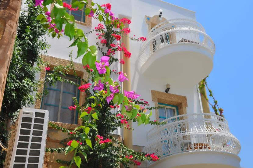 Siesta Beach Apart - 3