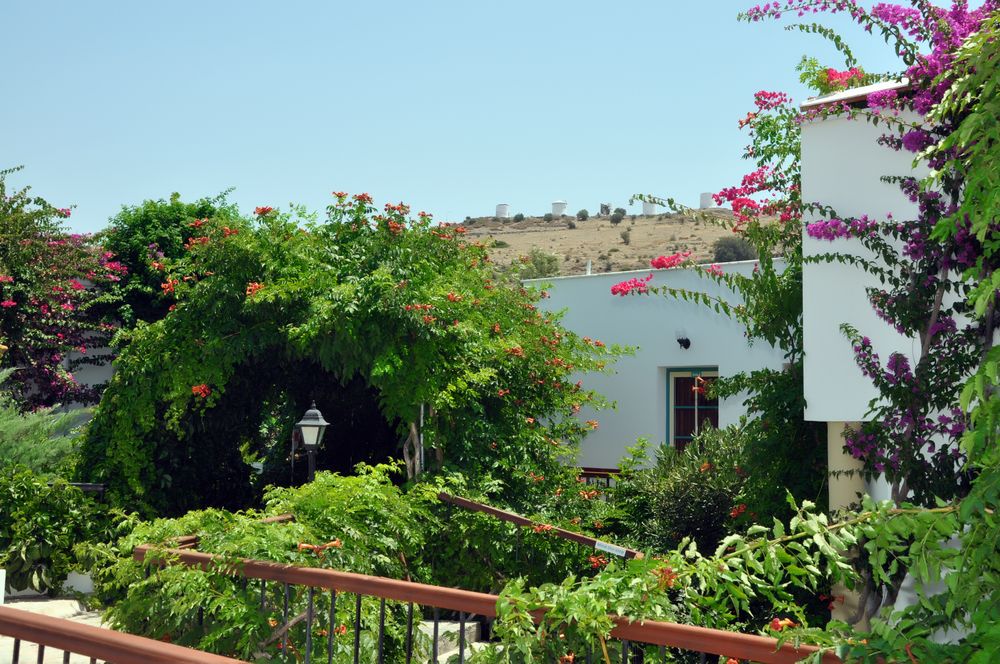 Siesta Beach Apart - 7