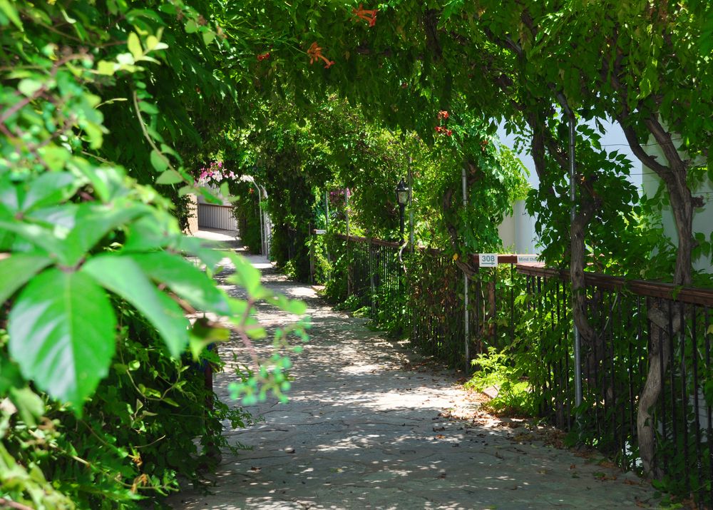 Siesta Beach Apart - 5