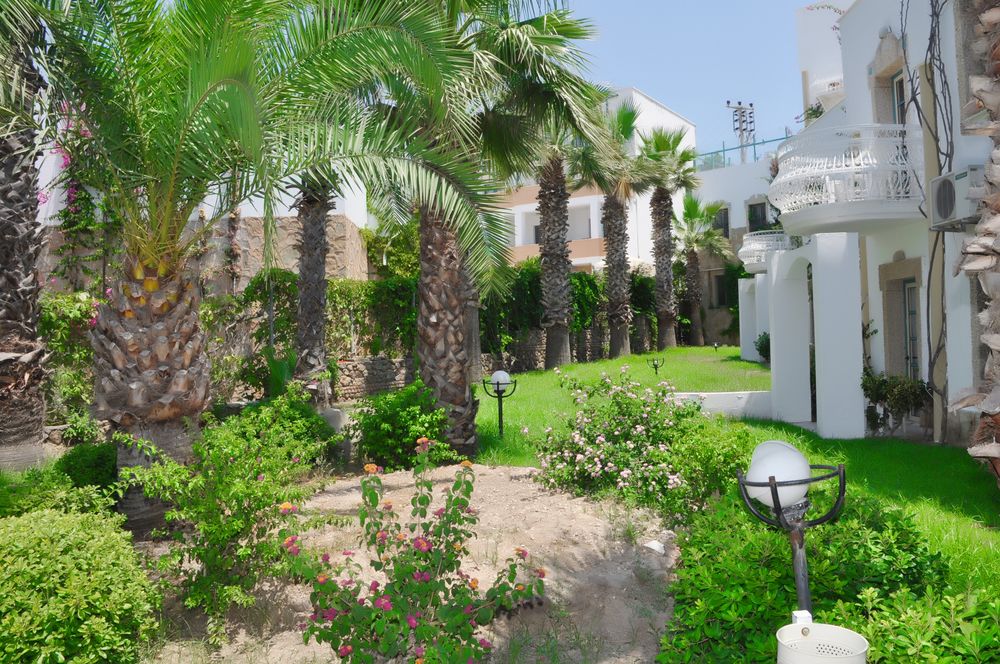 Siesta Beach Apart - 6