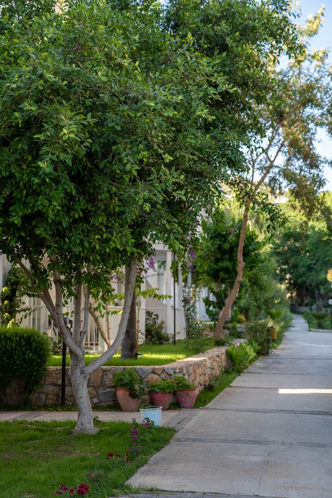 Zeniya Bodrum Beach Resort - 41