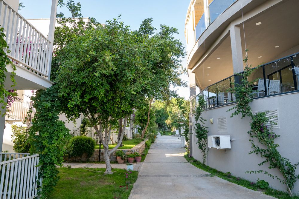 Zeniya Bodrum Beach Resort - 40