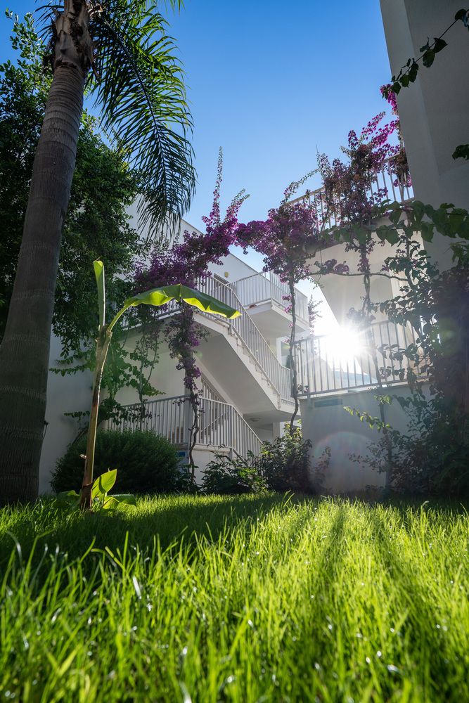 Zeniya Bodrum Beach Resort - 39