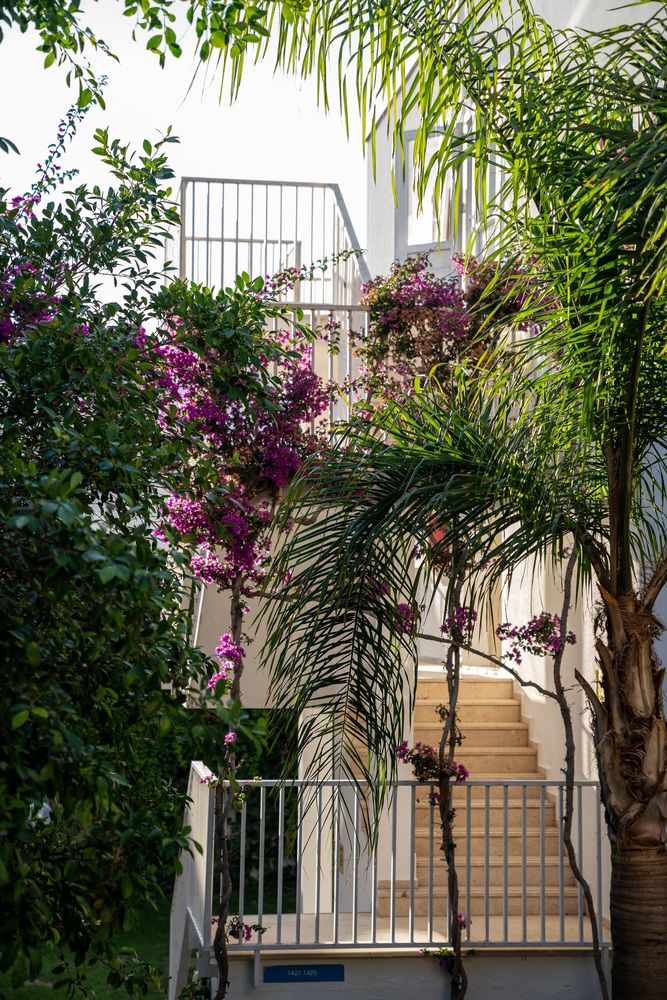 Zeniya Bodrum Beach Resort - 35