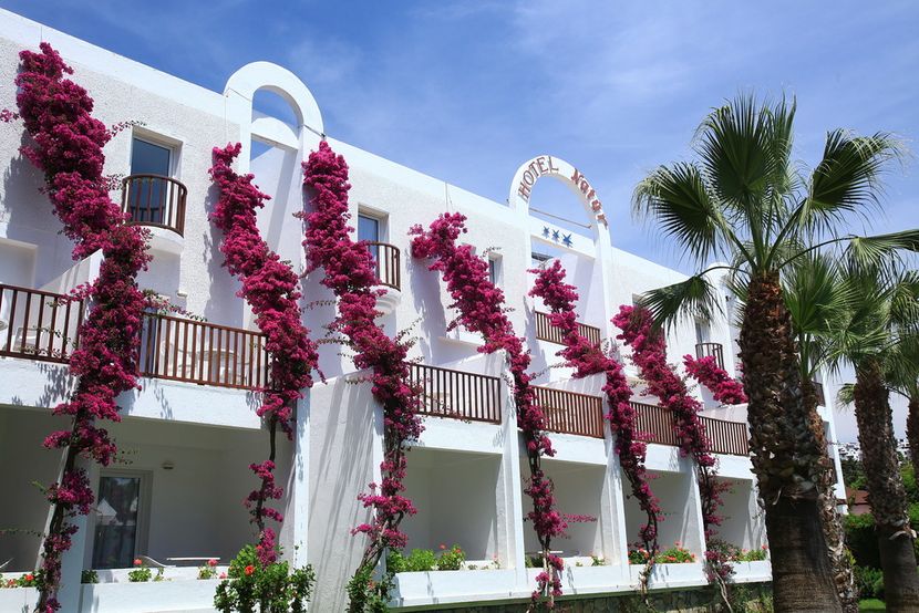 Natur Garden Hotel - 5