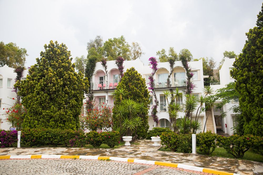 Картинка отеля - 31