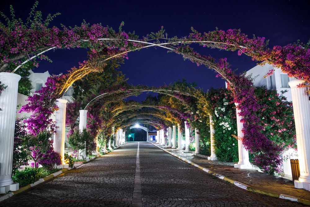 Картинка отеля - 30