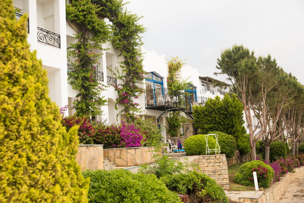 Картинка отеля - 28