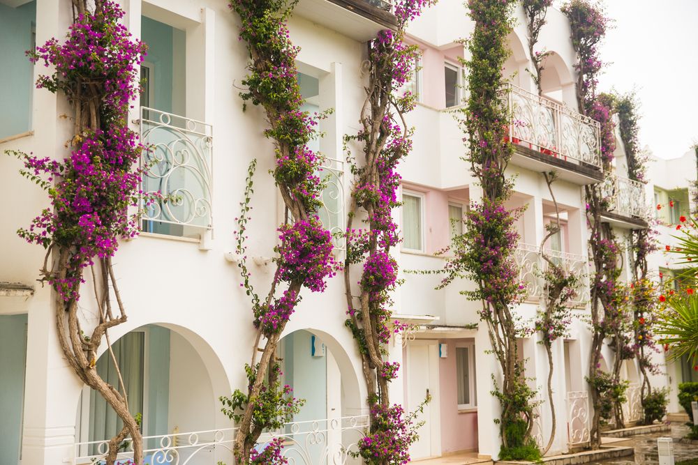 Картинка отеля - 27