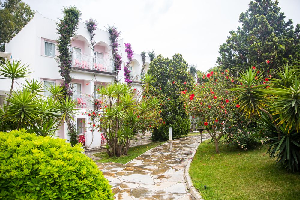 Картинка отеля - 26