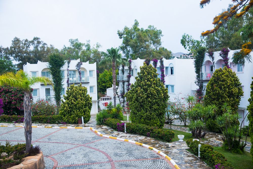 Картинка отеля - 24