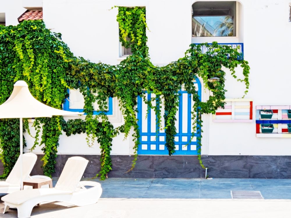 Bleu Nuit Bodrum (ex. Sky Star) - 29