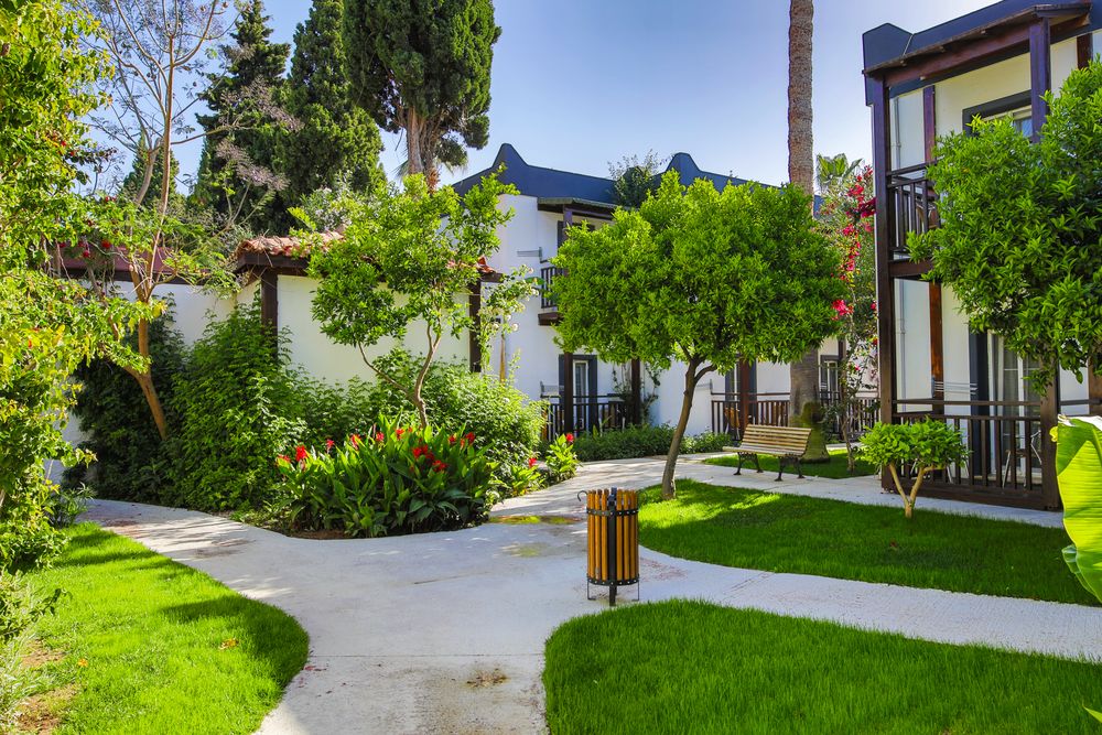 Картинка отеля - 11