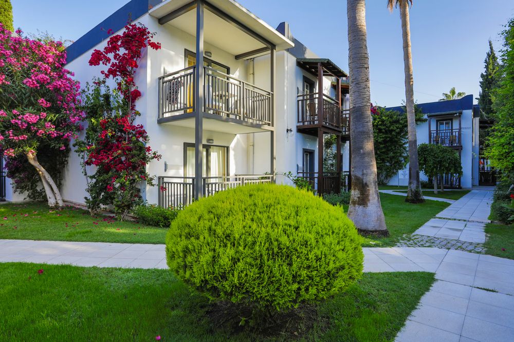 Картинка отеля - 6