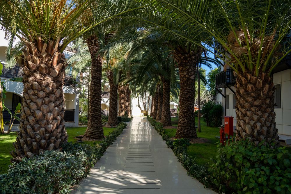 Zeniya Latanya Park Resort - 3