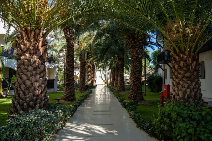 Zeniya Latanya Park Resort - 3
