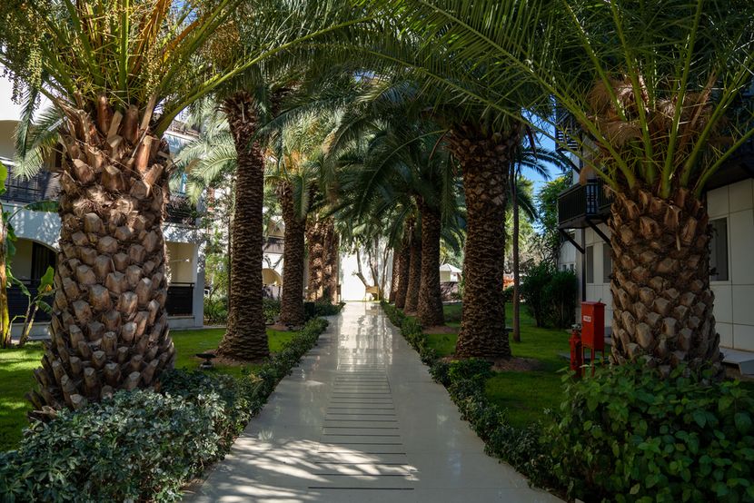 Zeniya Latanya Park Resort - 3