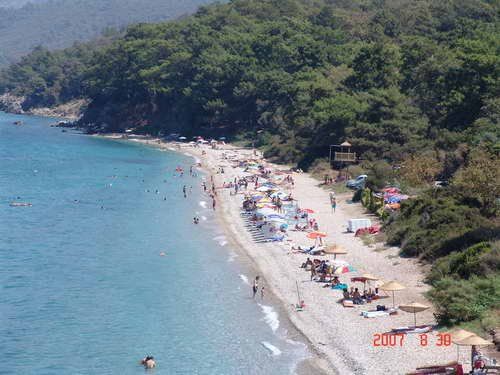 Картинка отеля - 3