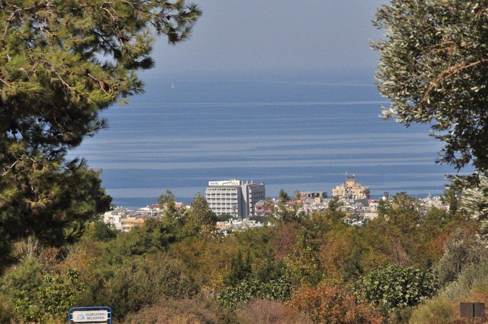 Картинка отеля - 6