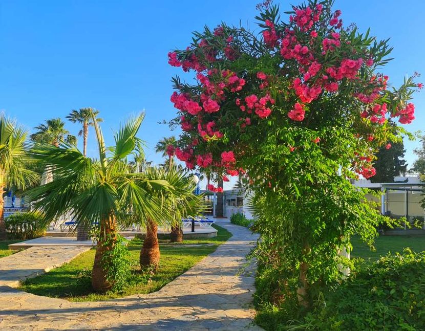 Nagi Beach - 2