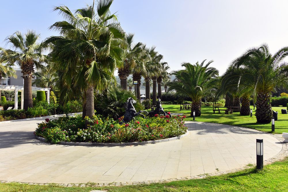 Palm Wings Ephesus Hotel - 13