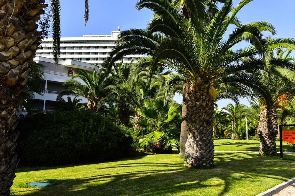 Palm Wings Ephesus Hotel - 10