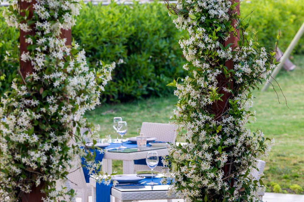 My Ella Bodrum Resort & Spa - 65