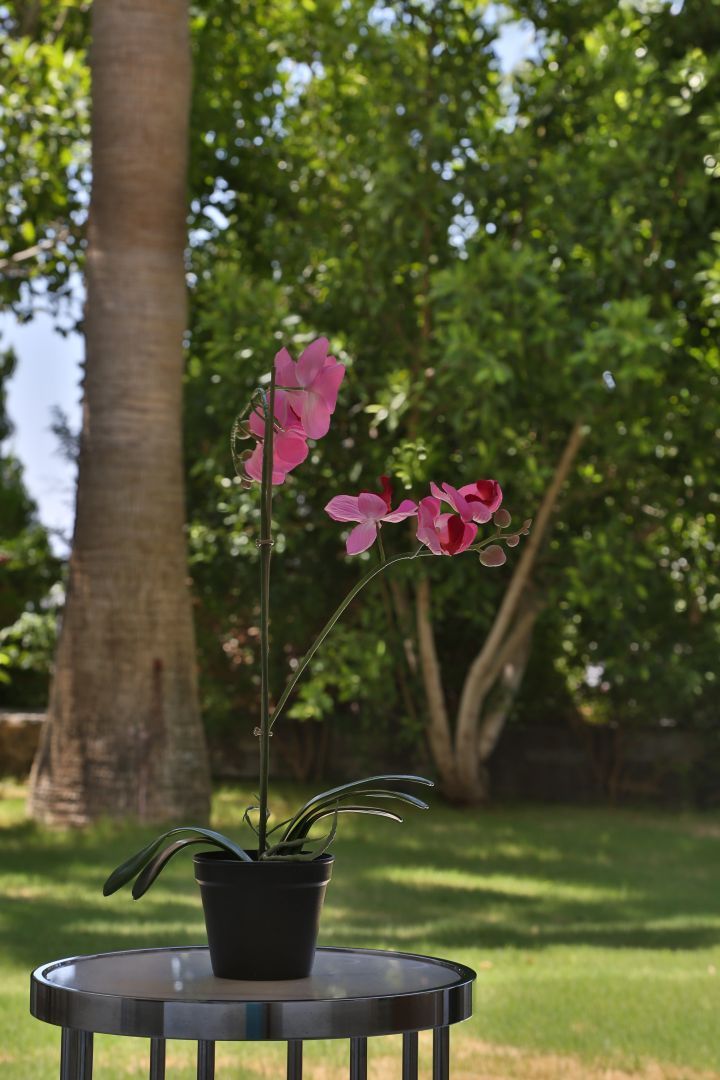 Hillstone Bodrum & Spa - 45