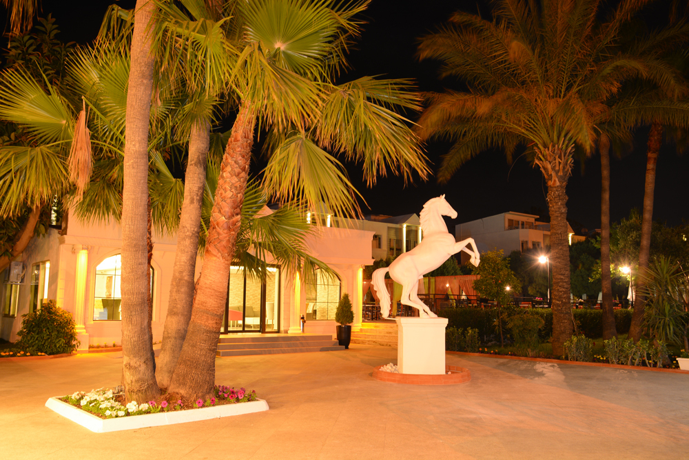 Картинка отеля - 16