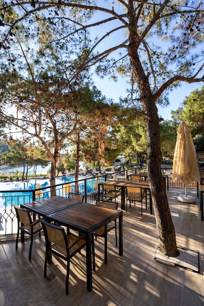 Zeniya Bodrum Park Resort - 30