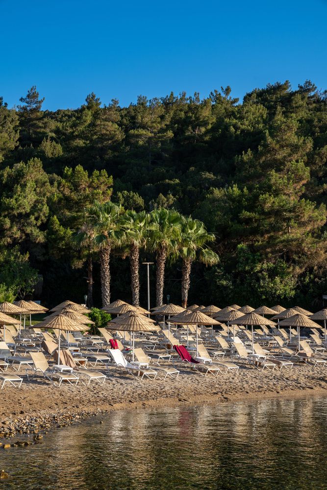 Zeniya Bodrum Park Resort - 72