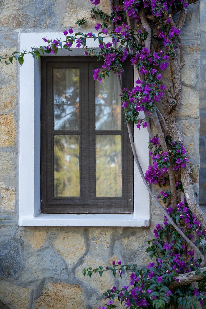 Zeniya Bodrum Park Resort - 108