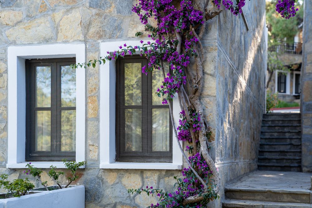 Zeniya Bodrum Park Resort - 106