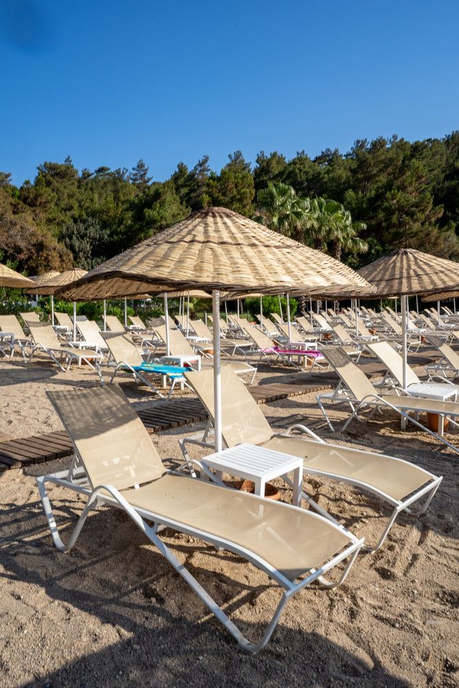 Zeniya Bodrum Park Resort - 74