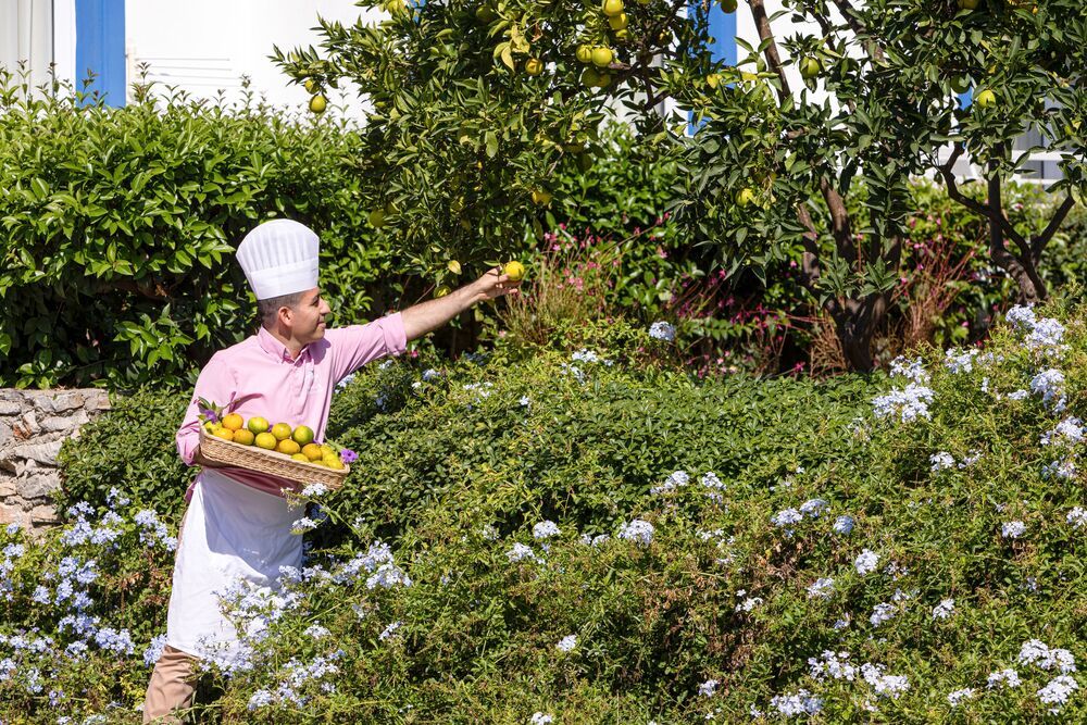 Картинка отеля - 82