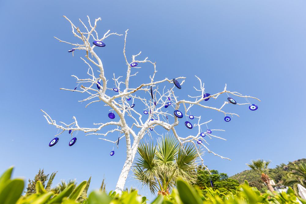 Картинка отеля - 8