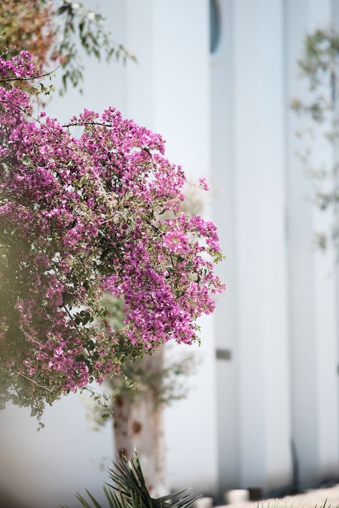 Arin Resort Bodrum - 5