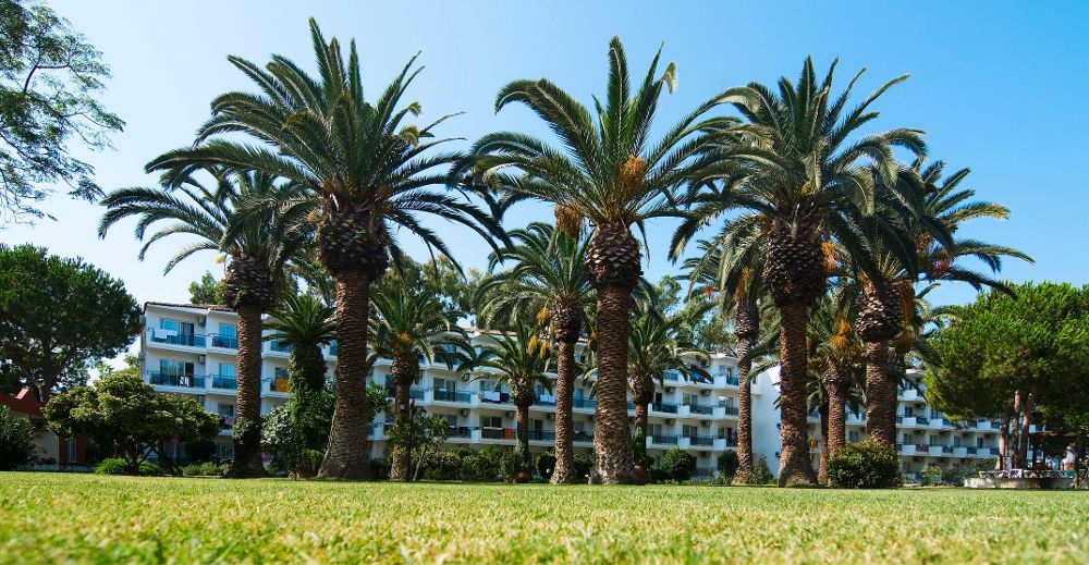 Atlantique Holiday Club - 8