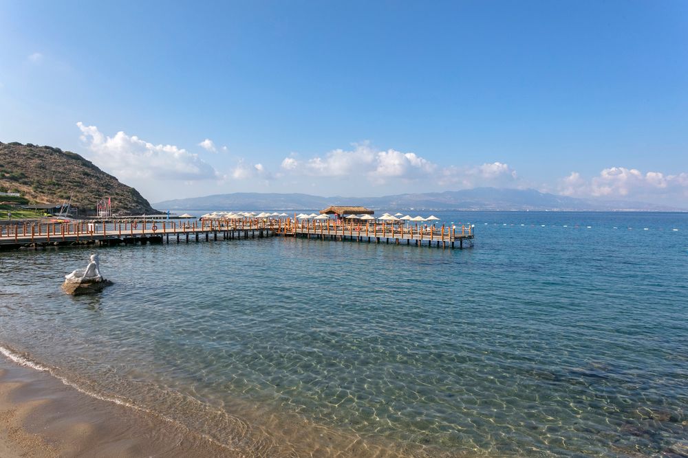 Картинка отеля - 104