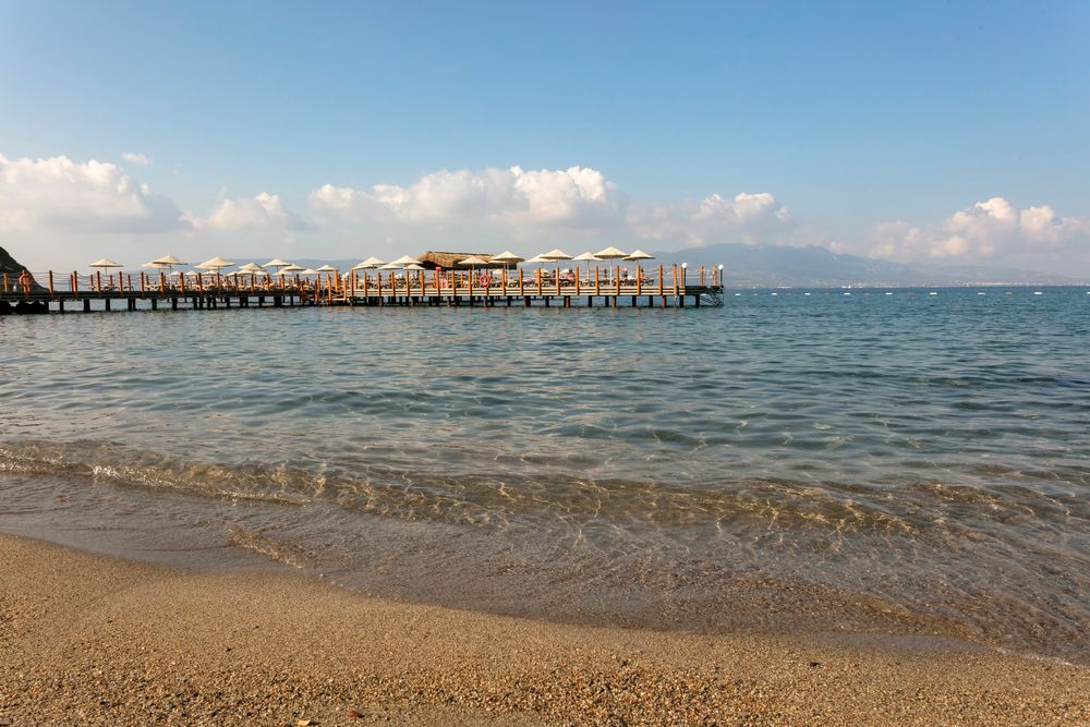 Картинка отеля - 103