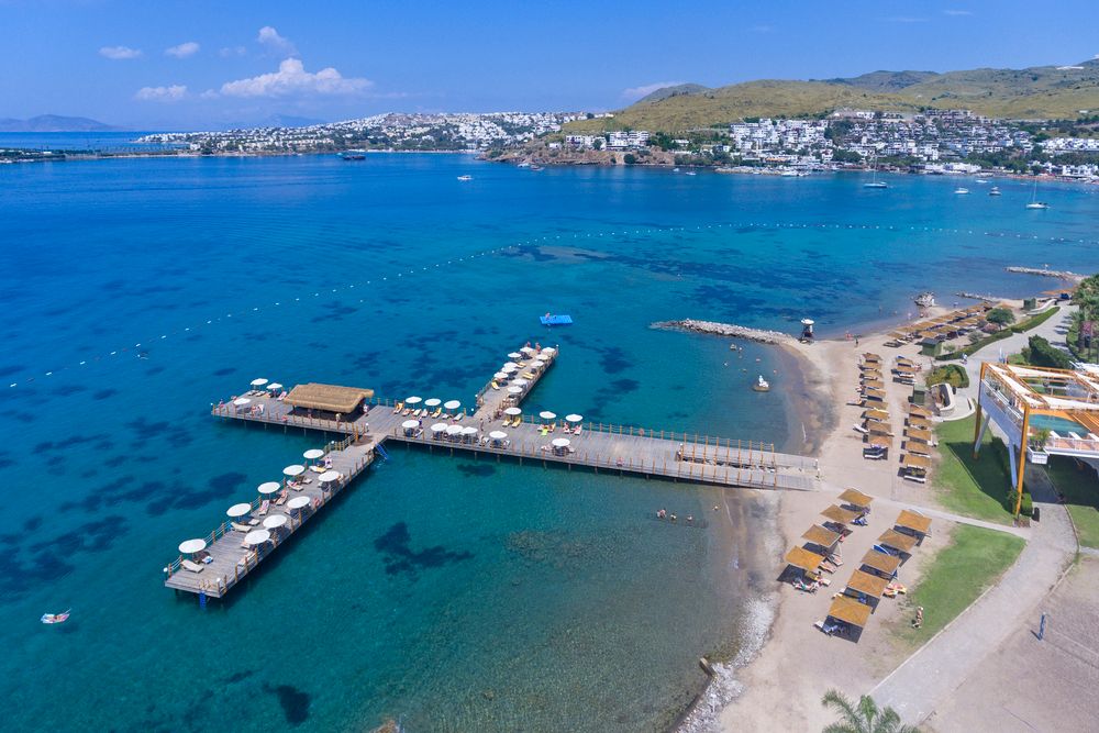 Картинка отеля - 102