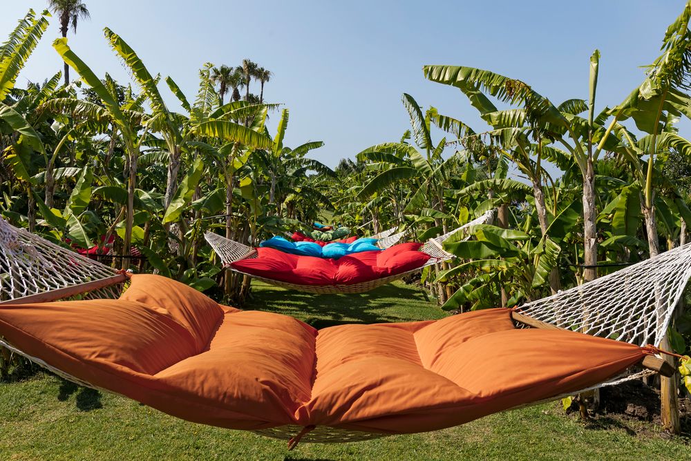 Картинка отеля - 13